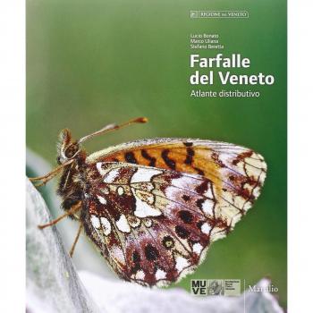 Farfalle del Veneto. Atlante distributivo. Ediz. italiana e inglese