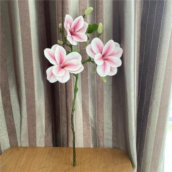Ramas de Magnolia para Decoración Navideña