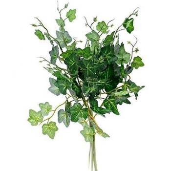 LushLeaf 30cm Green Ivy Set