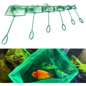 Betta and Tetra Square Fish Net