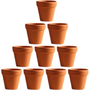 Cactus Charmant – Ensemble 10 pots