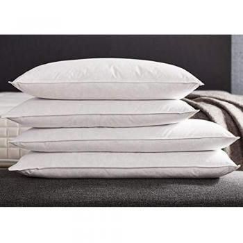 Oreillers Ergonomiques 40x60 cm Mousse à Mémoire Lot de 2