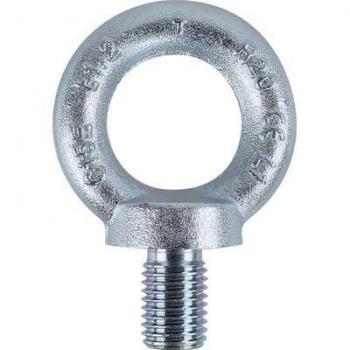 Golfaro per Sollevamento Maschio 10mm