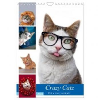 Crazy Catz. (Wandkalender 2024 DIN A4 hoch) CALVENDO Monatskalender