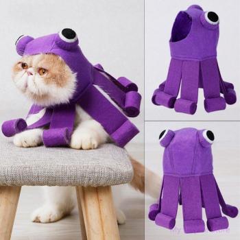 Chapeau violet pour animaux de compagnie