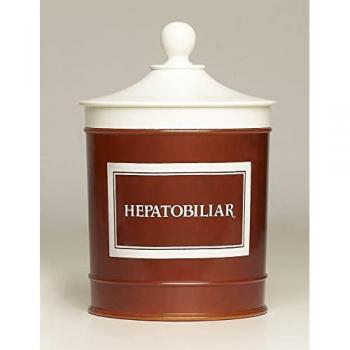 Averroes Detoxphyton pour le Foie 1ud