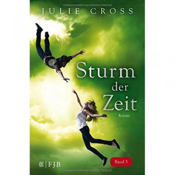 Sturm der Zeit: Roman