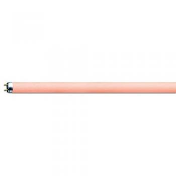 Osram Colourful T8 G13 58W/60 Lampada a L