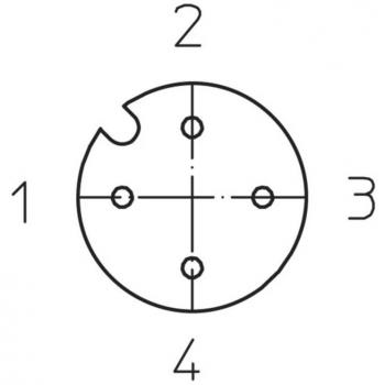 Câble M12 2 m, Connecteur Femelle Coudé 04 L2