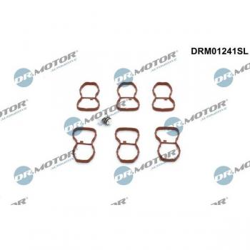 Reparo Módulo Tubo de Aspiração DR.MOTOR AUTOMOTIVE DRM01241SL