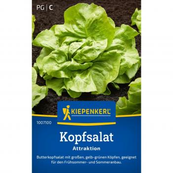 Kiepenkerl Kopfsalat (Attraktion)
