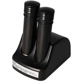AccuCell Schnell-Ladegerät für Black & Decker VersaPak VP100 inklusive 2 x 1300mAh Akku