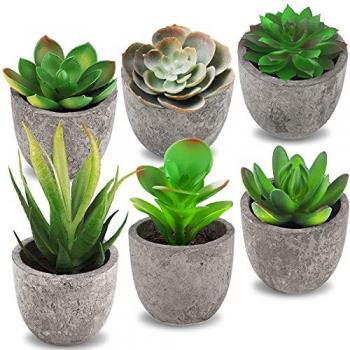 Offerta piante artificiali Frasheng 6 pezzi
