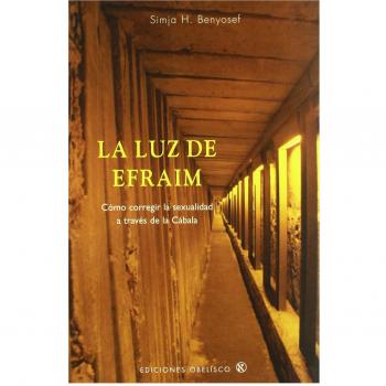 La luz de efraim (Tapa blanda).