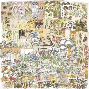 240-Piece Vintage Photo Frame Scrapbooking Kit