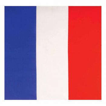 Accessorio Bandana Francese WIDMANN