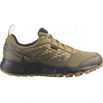 Salomon Trailrunner WANDER GTX – Herren, Antique Bronze, 42, wasserdichter Outdoor-Schuh für Männer