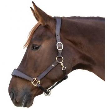 Waldhausen S‑Line Brown Leather Halter – Full Body Fit