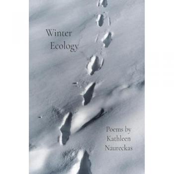 Winter Ecology