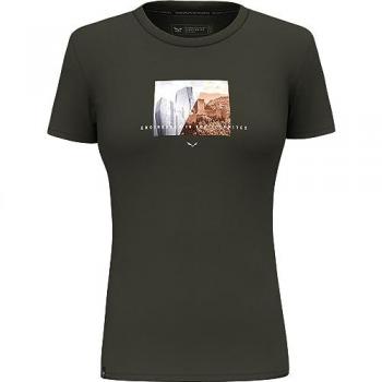 Salewa Damen T-Shirt Pure Design Dry in grün 38