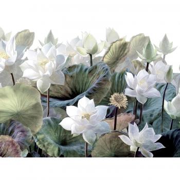 Papier Peint Feuilles Exotiques