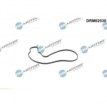 Pompe à eau – Joint d'étanchéité (DRM02530) – DR.MOTOR AUTOMOTIVE