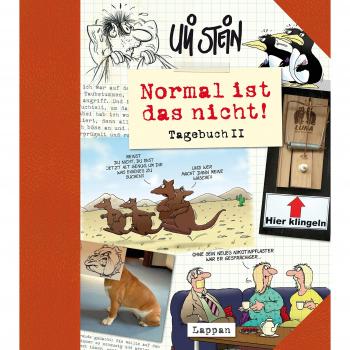 Normal ist das nicht!: Tagebuch 2