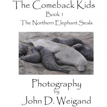 The Comeback Kids Book 1, The Northern Elephant Seals