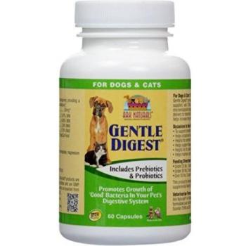 Gentle Digestive Aid 60 Caps by Ark Naturals