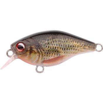 Poisson Nageur Ikiru Mini Crank 38F SL SH