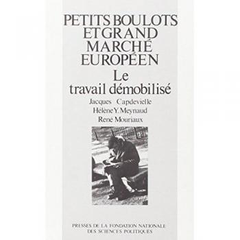 Petits boulots et grand marché européen le travail démobilisé