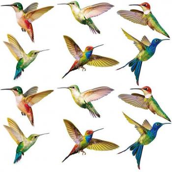 Colibri décorations de fenêtres 12 pièces