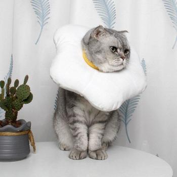 Anti-Bite Recovery Collar for Pets