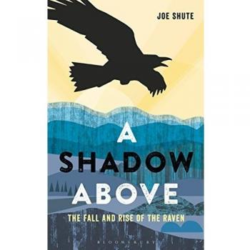 A Shadow Above