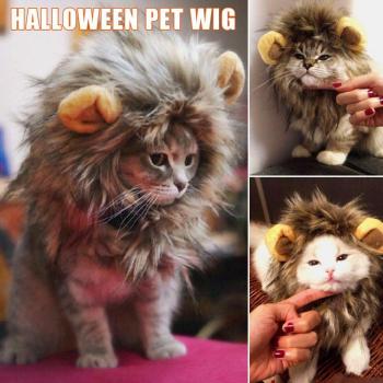 Pet Costume Wig for Cats and Small Dogs