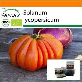 SolfiGrow – Pomodoro “Cuor di Bue”, 10 Semi, Sacchetto Stabilizzato, Biologico