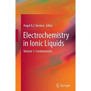 Electrochemistry in Ionic Liquids: Volume 1: Fundamentals