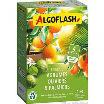 Naturasol Algoflash 1 kg per Agrumi e Palme