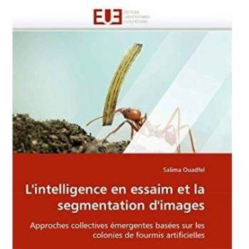 L'intelligence en essaim et la segmentation d'images: Approches collectives émergentes basées sur les colonies de fourmis artificielles