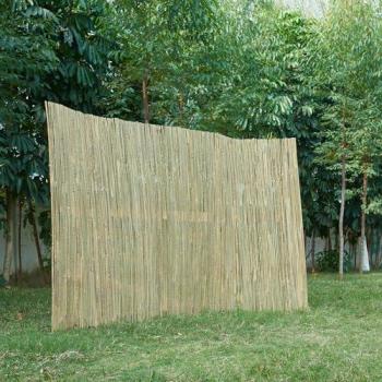 Bamboo Bliss Canisse 120 cm × 300 cm – Nature