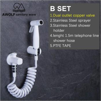 Toilet Bidet Sprayer with Brass Valve AP2217