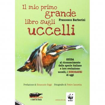 Il mio primo grande libro sugli uccelli. Guida al riconoscimento delle specie italiane e loro evoluzione: uccelli, i dinosauri di oggi