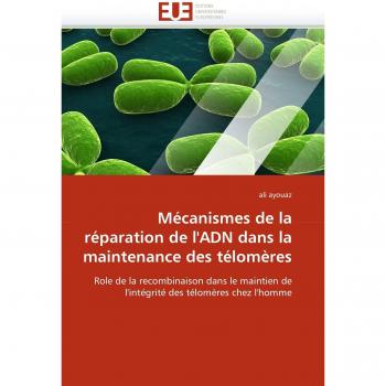 Mécanismes de la réparation de l'ADN dans la maintenance des télomères: Role de la recombinaison dans le maintien de l'intégrité des télomères chez l'homme