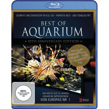 Best of Aquarium