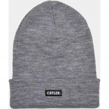 Cayler & Sons C&S Basic Mütze Heather Grau