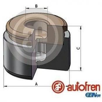 Autofren Seinsa D025731 Kolben für Vorderachse