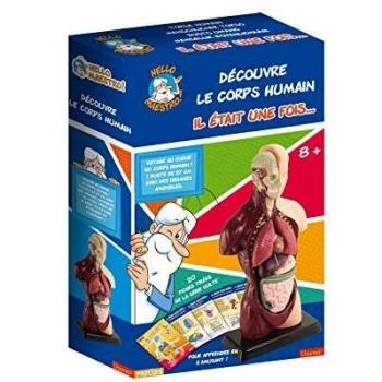 Buste Anatomique Hello Maestro