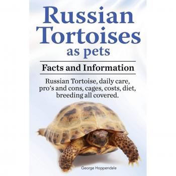 Russian Tortoises As Pets. Russian Tortoise : Facts and Informati