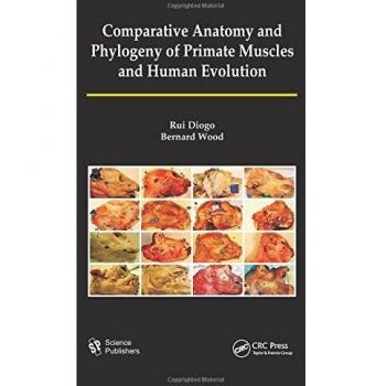 Comparative Anatomy and Phylogeny of Primate Muscles and Human Evolution