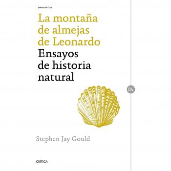 La Montaña De Almejas De Leonardo